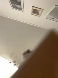 Guloiokのプレビュー