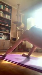 Buba93 webcam model stream image