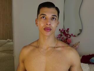 Troye Williams webcam model stream image