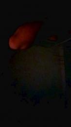 mica224 webcam cam4 model stream image