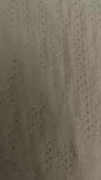 Bitecm webcam model stream image