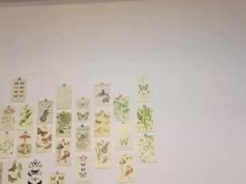 patri_ck_villa webcam chaturbate model stream image