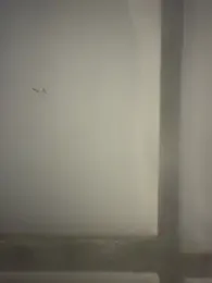 orient_zob webcam model stream image