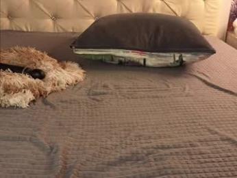 freyabyrne webcam model stream image