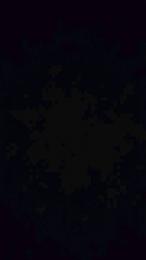 PrivateFantasy webcam cam4 model stream image