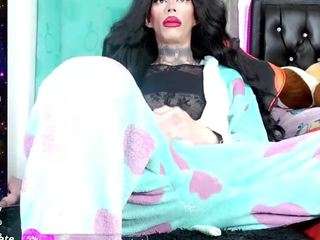 alexa-dann webcam model stream image