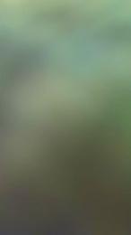 Beurette92 webcam model stream image