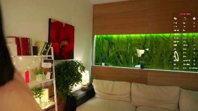 LeanAquilar webcam model stream image