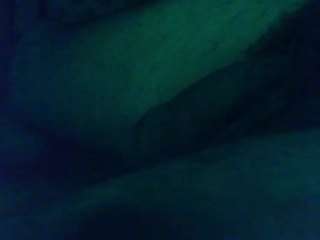 flexonaier webcam model stream image