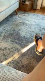 PP_Fan webcam model stream image