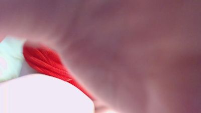 AlidaAlida2 webcam model stream image