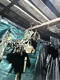 lamejorpene webcam model stream image