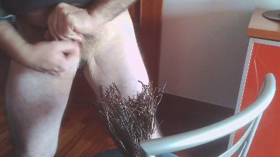 txintxo webcam model stream image