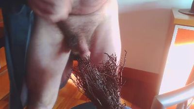 txintxo webcam model stream image