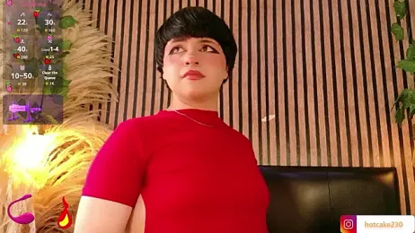 Hiddenhotcake webcam model stream image