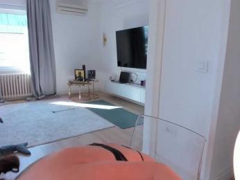 seilyfox webcam model stream image