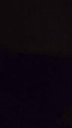 dotatosalern webcam model stream image