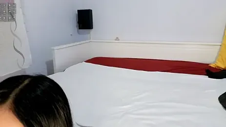 TinyMikaのプレビュー