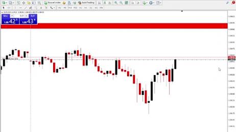 Trading_business webcam model stream image