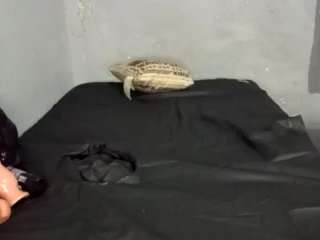 justthebestangles webcam model stream image