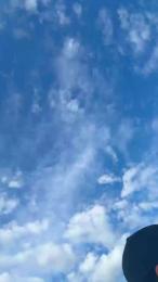 GATOXXLBR webcam model stream image