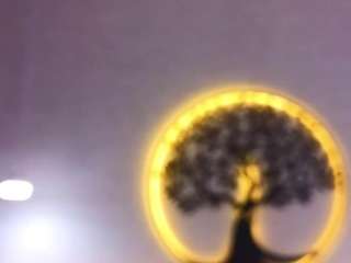 evaleester webcam model stream image