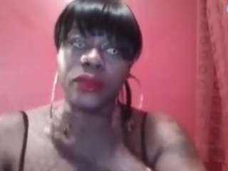 stalliontheesavage webcam camsoda model stream image