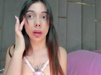 evalims webcam model stream image