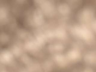 daltonsawdust webcam model stream image