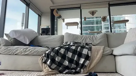 Graciemae_baexx webcam stripchat model stream image