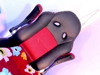 la-ratona webcam model stream image