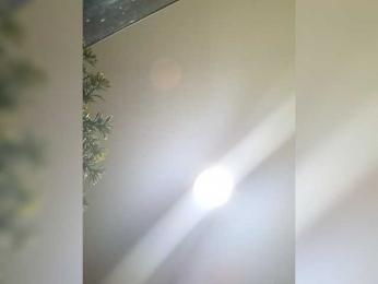 PanteraNeagra webcam model stream image