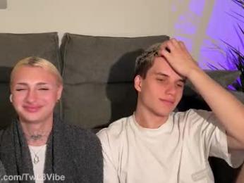 twl8vibe webcam model stream image