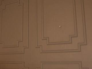 Zara Bliss webcam model stream image