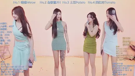 SSF-888 webcam model stream image