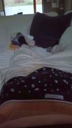 Rouelibre44_ webcam model stream image