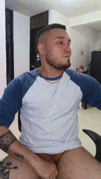 _LIONEL_ webcam model stream image