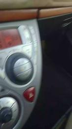 Piseloduro webcam model stream image