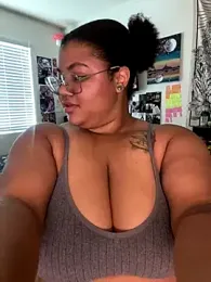 Ectorius webcam model stream image