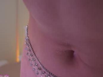 shinyways webcam model stream image