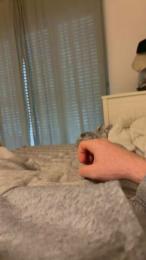 Frankestain18 webcam model stream image