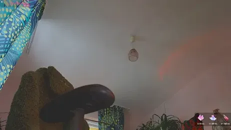 Inkbuttercup webcam model stream image