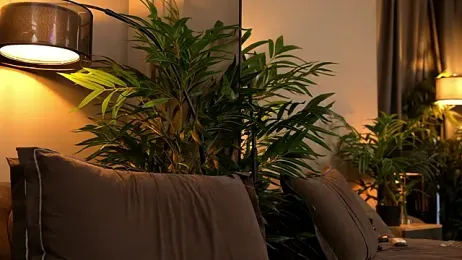 _keeti_ webcam model stream image