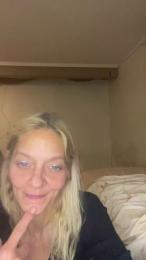 SAS420 webcam model stream image