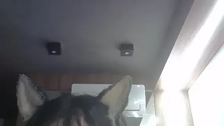 SkinnyKitten webcam stripchat model stream image