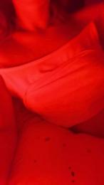 Alice98 webcam cam4 model stream image