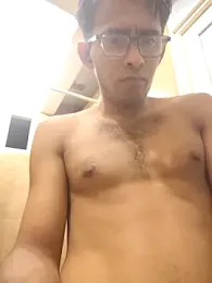 VL25DN26 webcam model stream image