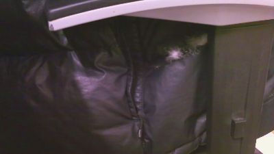 erasmo45 webcam cam4 model stream image