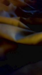 Poloskov86 webcam model stream image