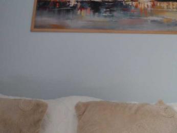 cleophee webcam bongacams model stream image